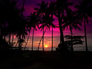 indie chill sunset playlist showing a sun gowing down in front of a red and purple sky